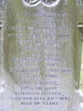 image of grave number 251131